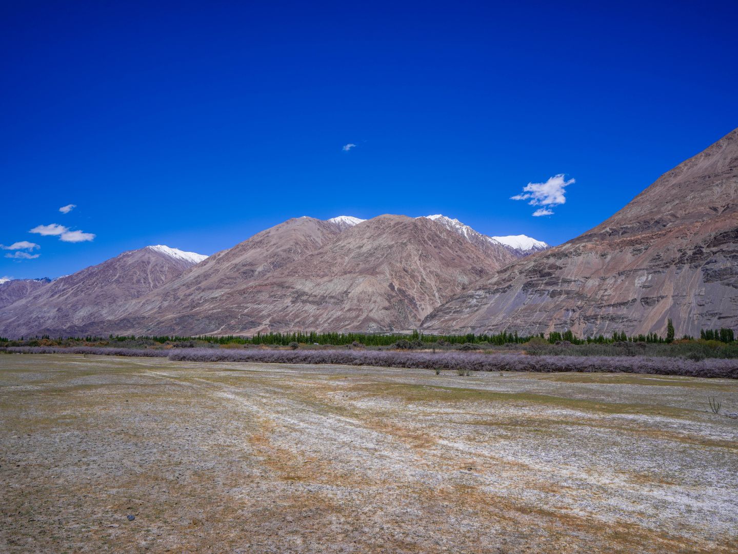 Chamshen